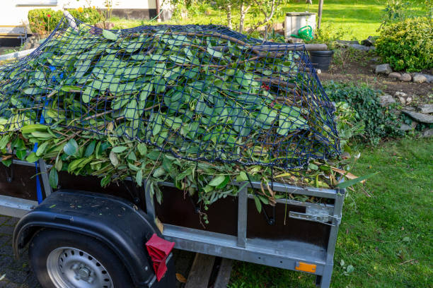 Best Hoarding Cleanup  in Robbinsdale, MN
